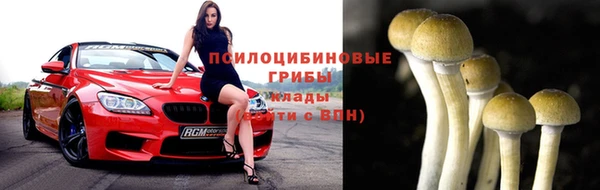 прущие крисы Кулебаки