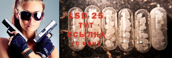 прущие крисы Кулебаки