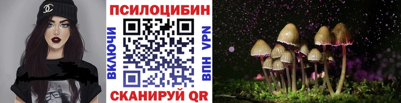 Купить закладки  Нефтекумск  Псилоцибиновые грибы Magic Shrooms 